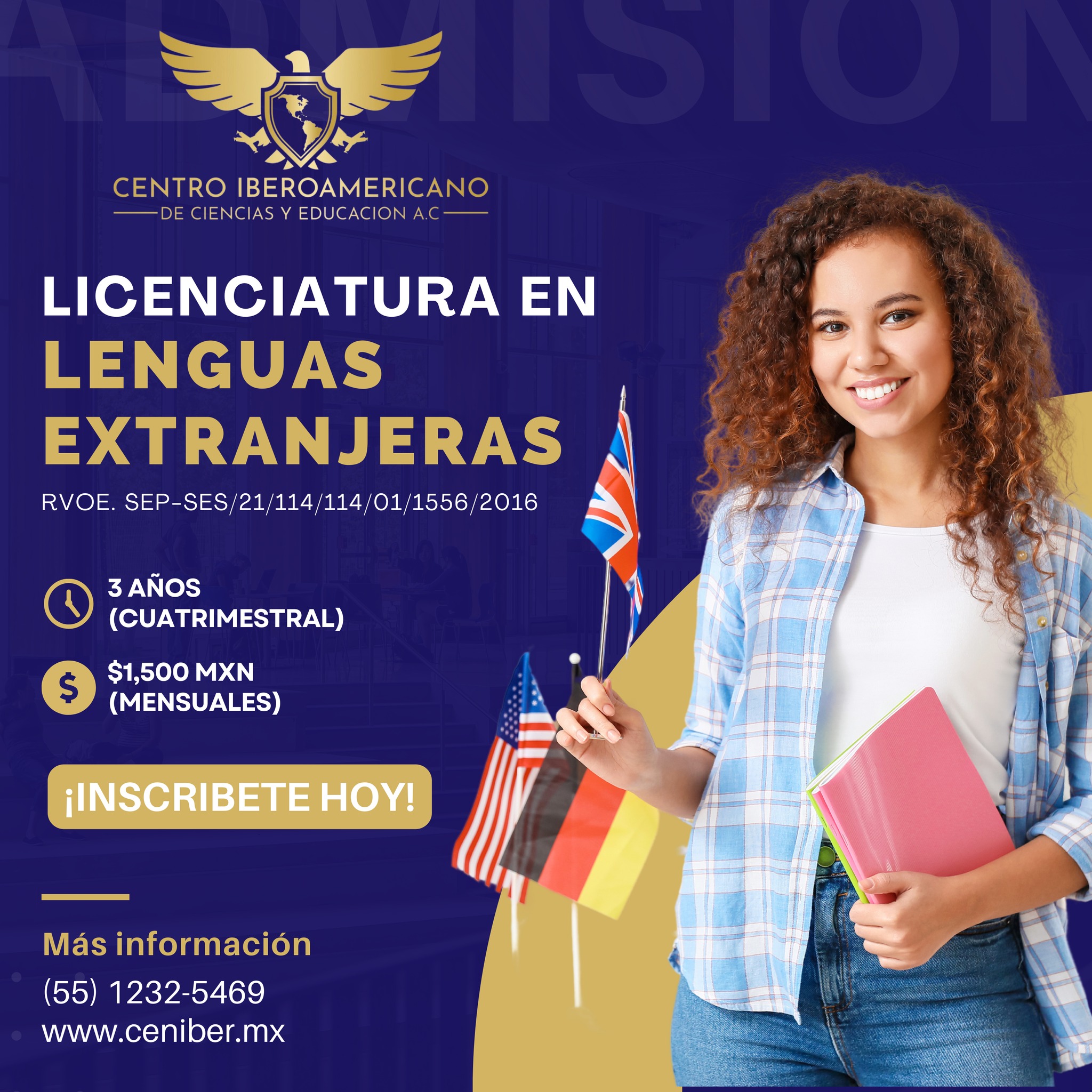 Licenciatura en lenguas extranjeras.